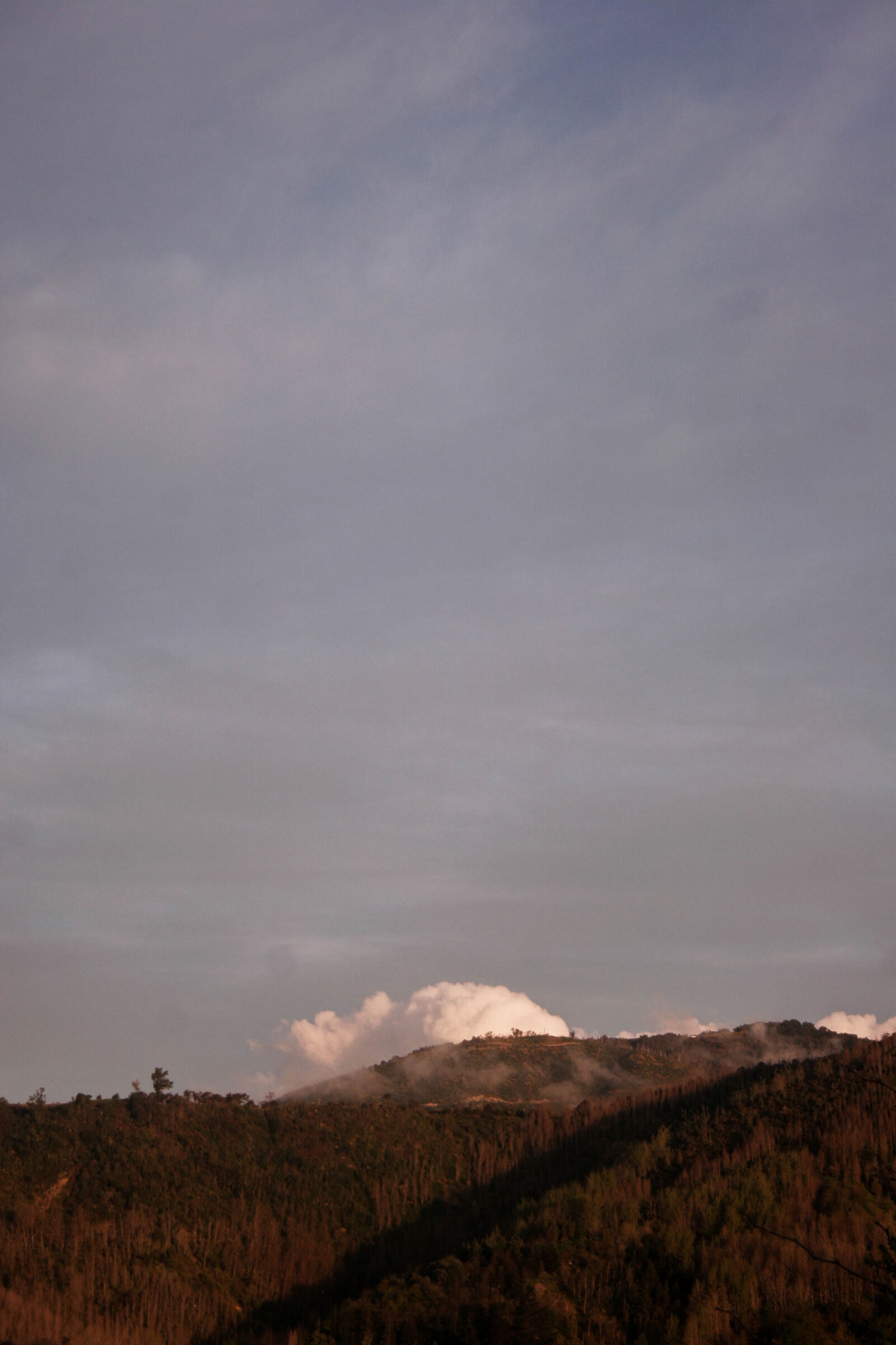 Canon EOS 20D sample photo. Clouds, forrest, hill, new photography