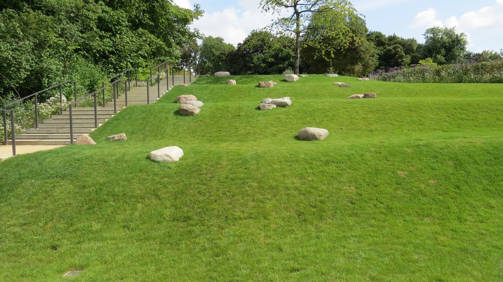 Canon PowerShot SX50 HS sample photo. Grass, rush, nature photography