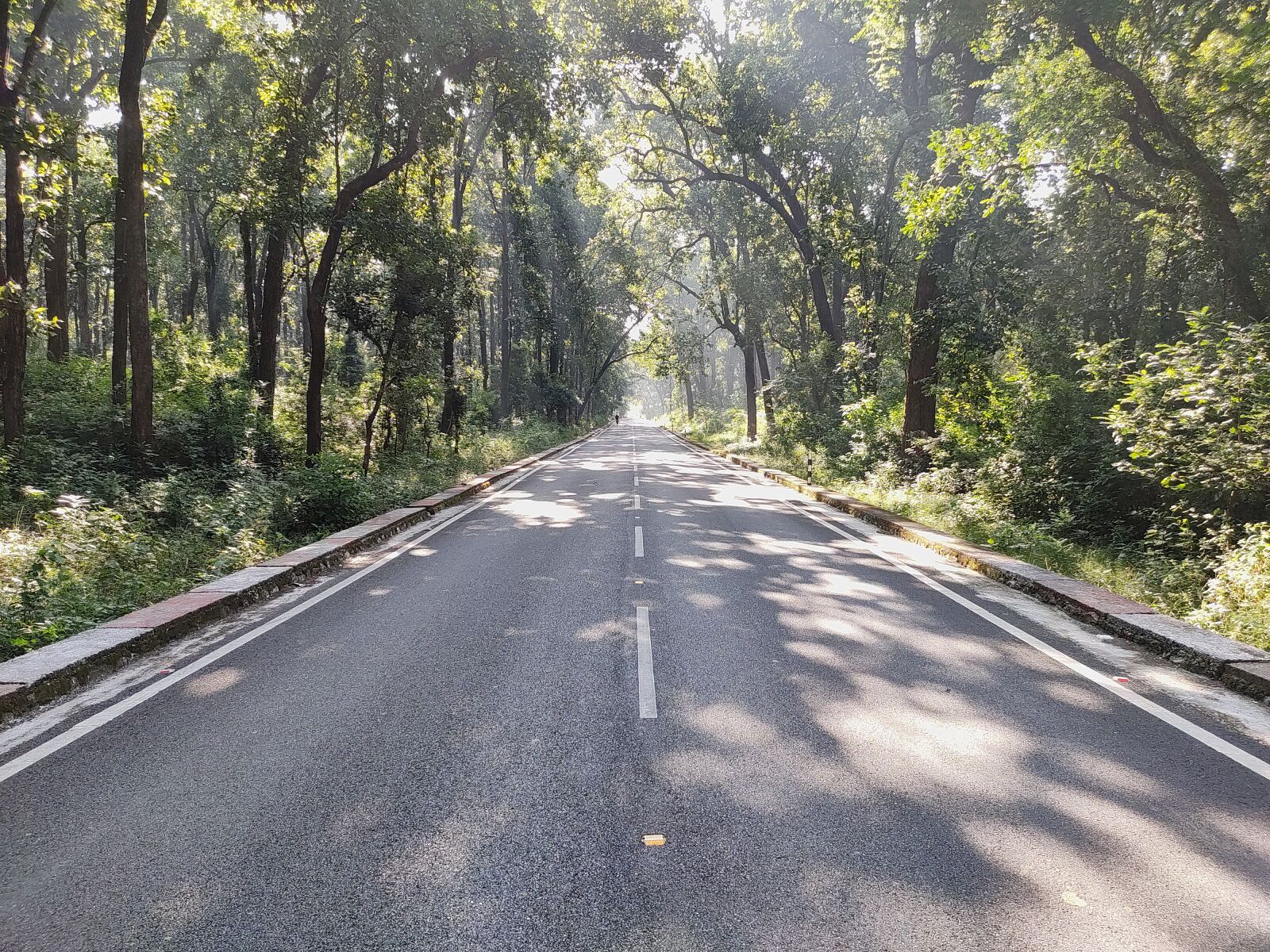 Xiaomi Redmi Note 7 Pro sample photo. Jungle, road, nature photography