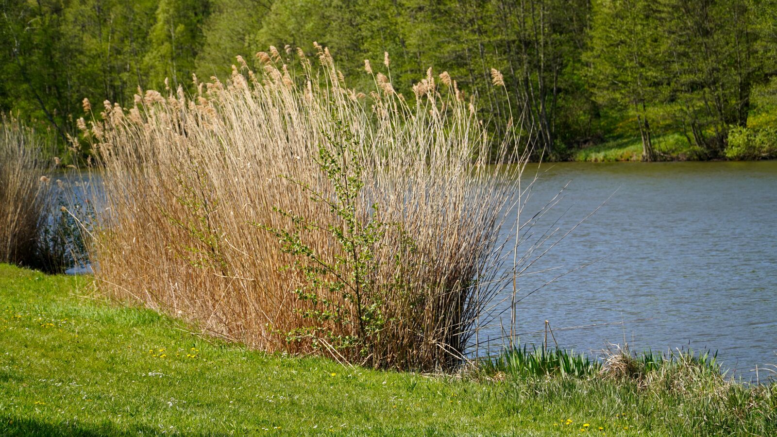 Sony E PZ 18-105mm F4 G OSS sample photo. Lake, landscape, nature photography