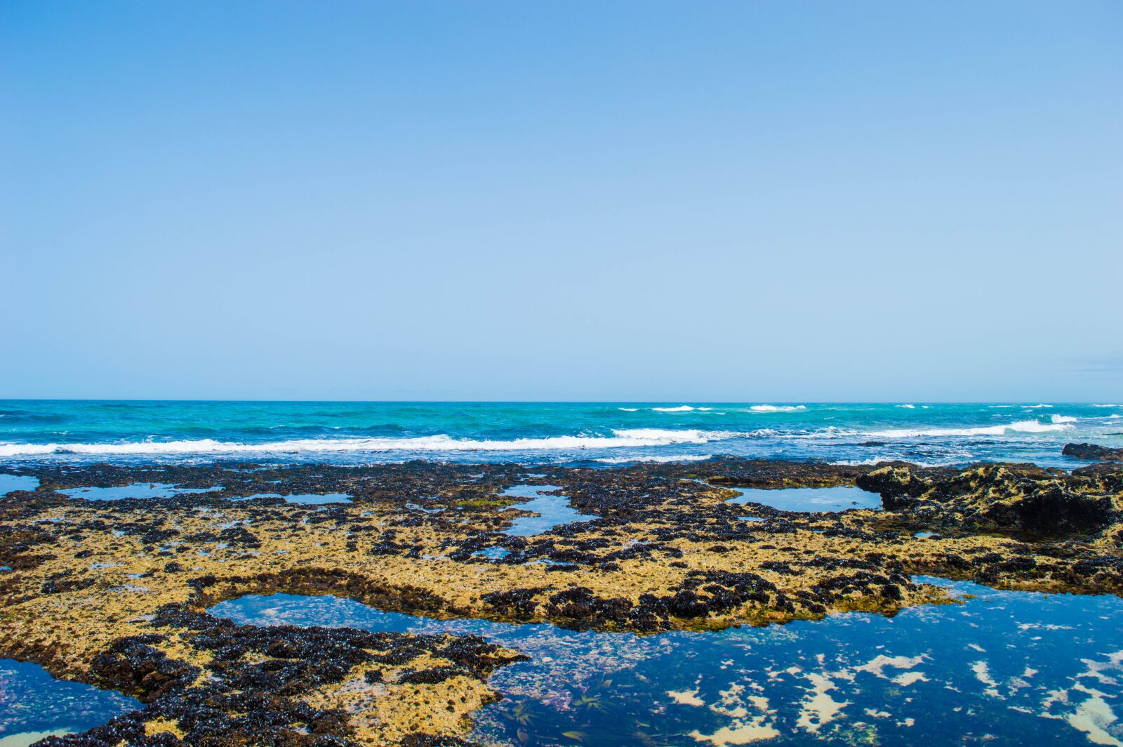 Nikon D3200 sample photo. Sea, water, life photography
