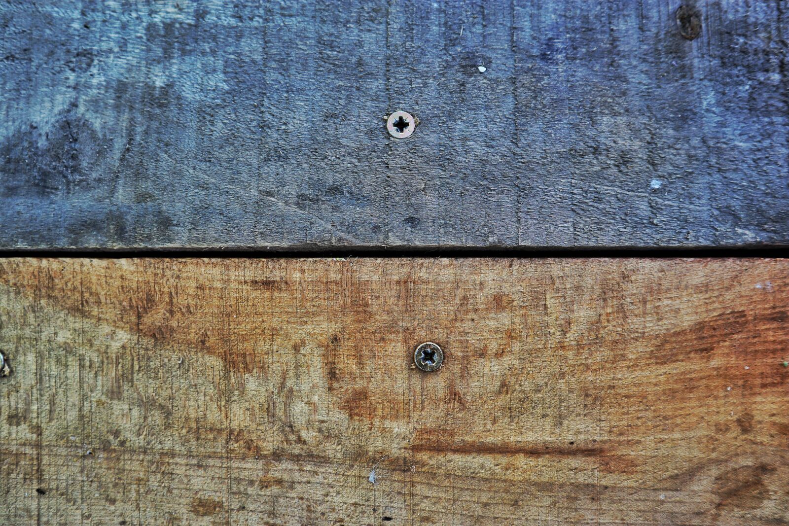 Canon EF-M 15-45mm F3.5-6.3 IS STM sample photo. Tree, wood, wooden photography