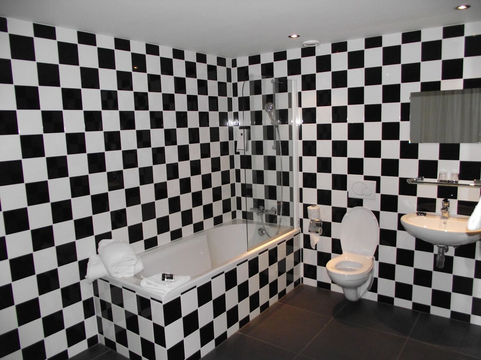 FujiFilm FinePix S1600 (FinePix S1770) sample photo. Bathroom, toilet, black white photography