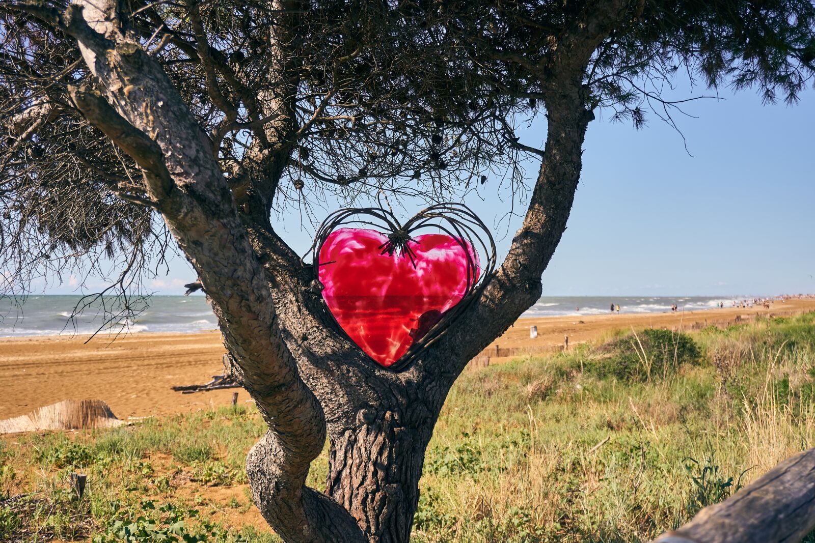 Sony a6400 sample photo. Heart, decoration, tree photography