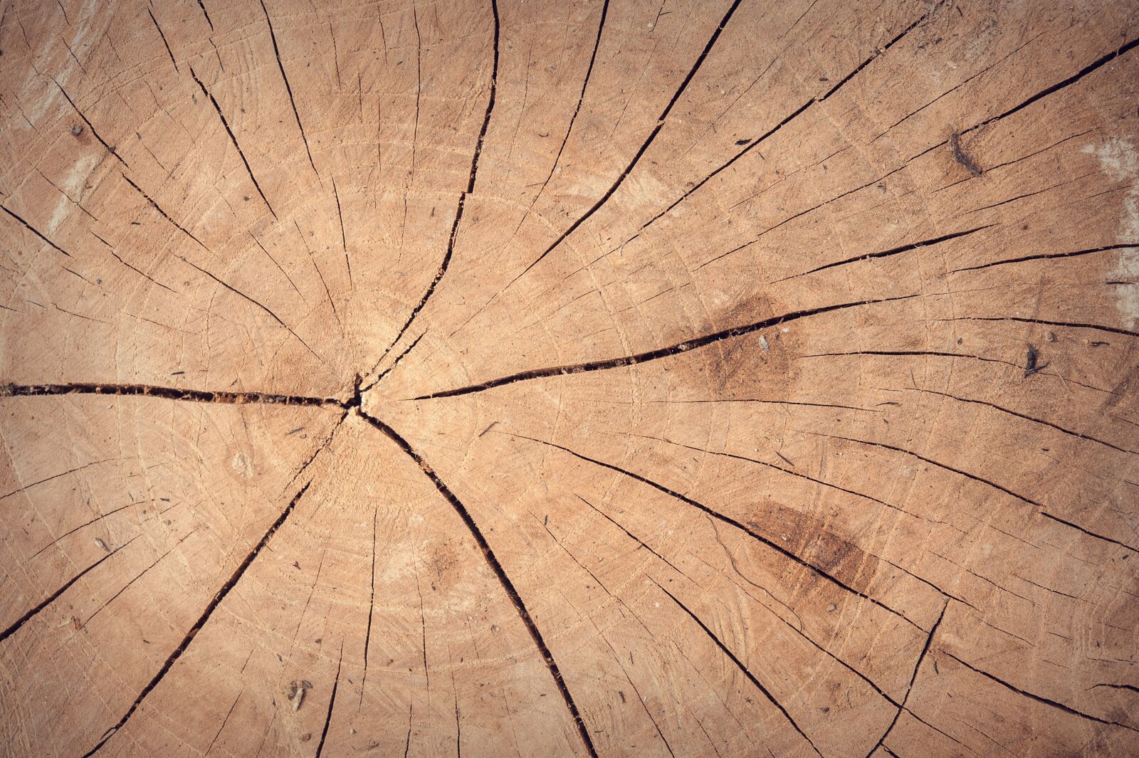 Nikon D700 sample photo. Abstract, antique, backdrop photography