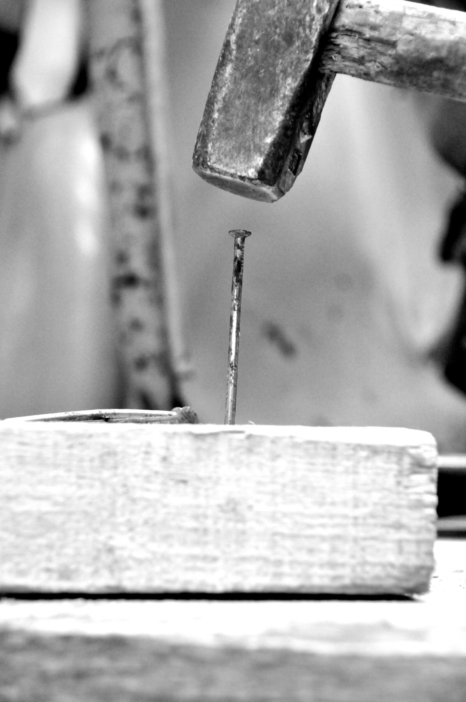 Nikon D300 sample photo. Nail, hammer, craft photography