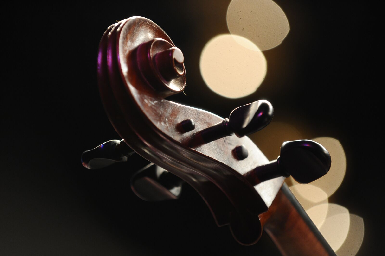 Nikon D3 sample photo. Instrument, music, classic photography