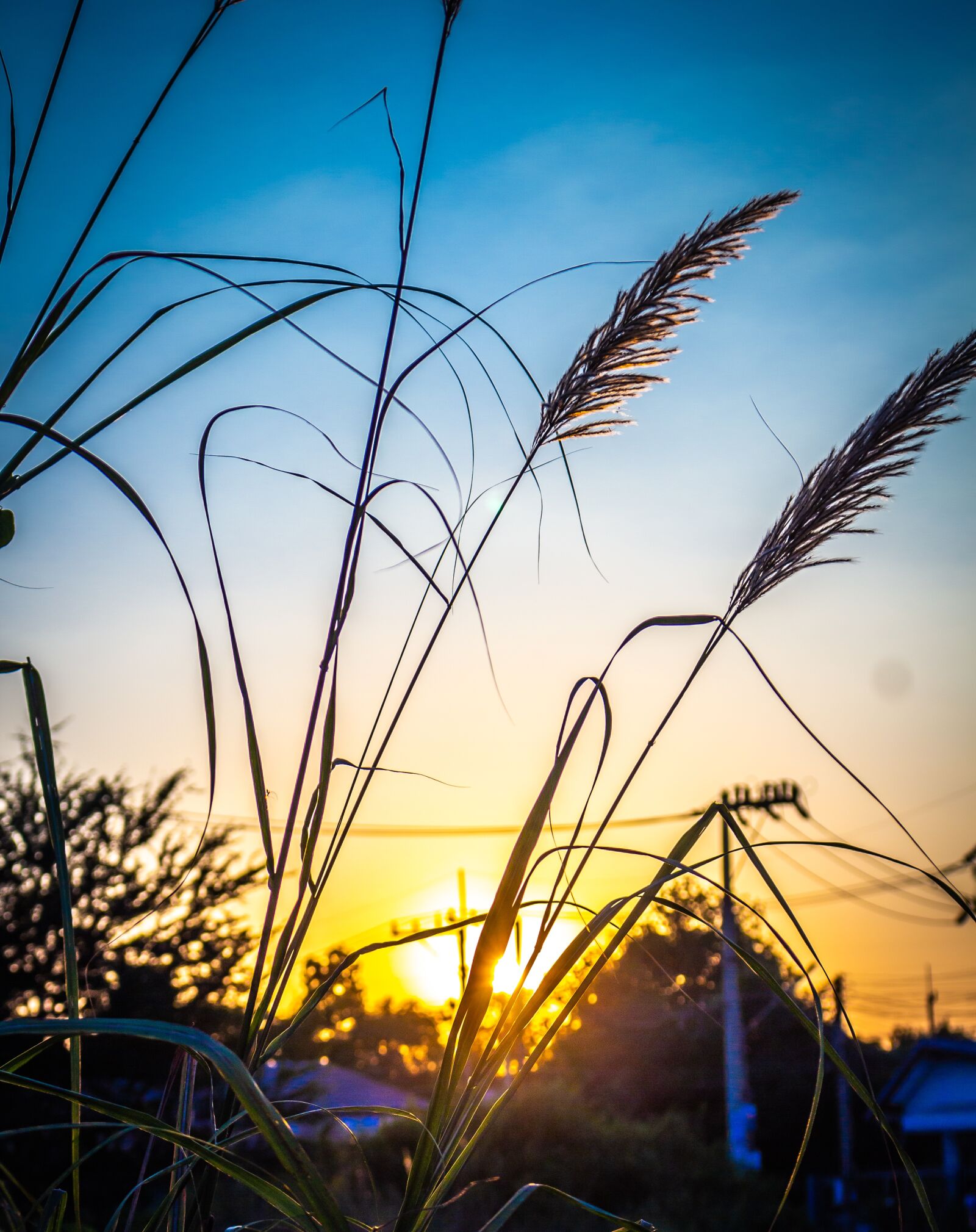 Canon EOS 700D (EOS Rebel T5i / EOS Kiss X7i) sample photo. Sky, west, grass photography