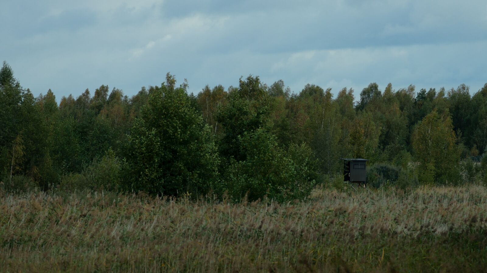 150-600mm F5-6.3 DG OS HSM | Contemporary 015 sample photo. Glade, meadow, nature photography