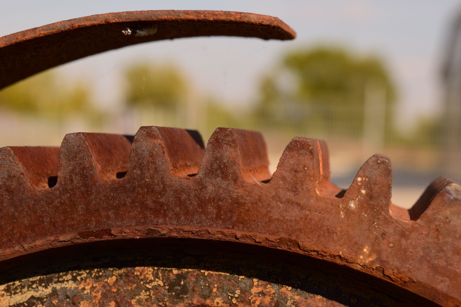 Nikon D3300 sample photo. Gear, metal, rust photography