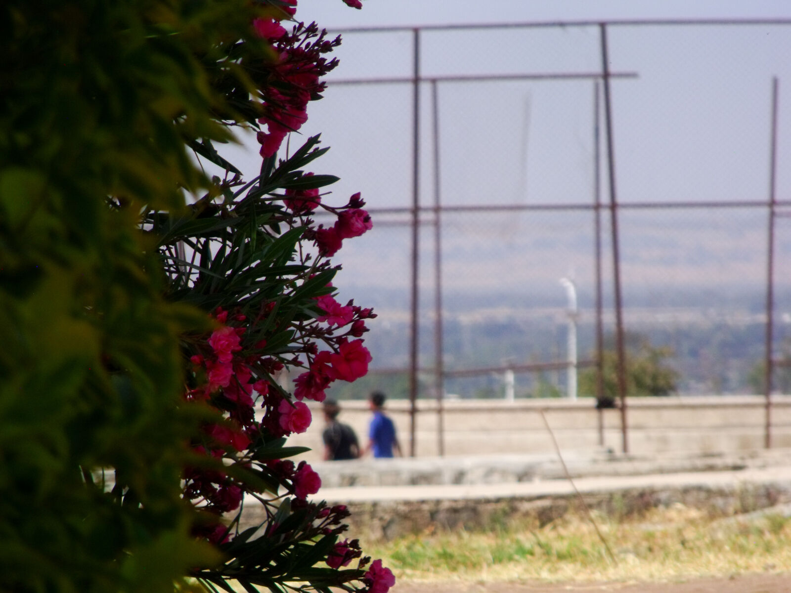 Fujifilm FinePix S1500 sample photo