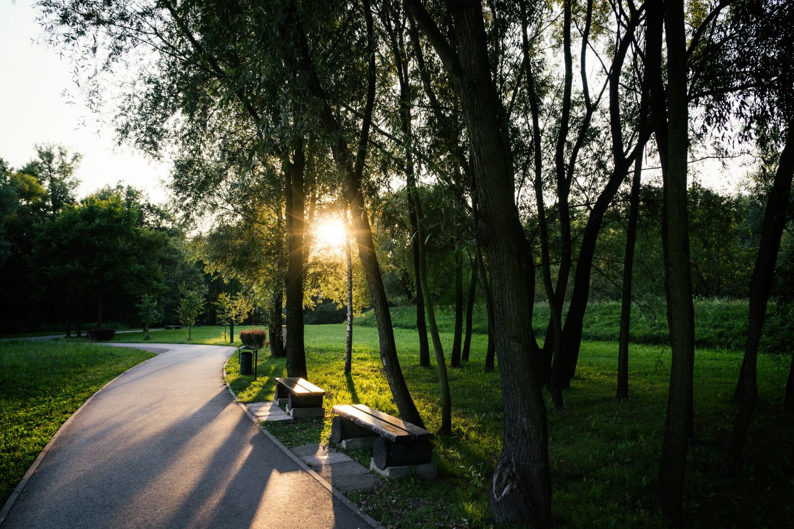 Sony a6000 + Sony E PZ 18-105mm F4 G OSS sample photo. Park, rays of the photography