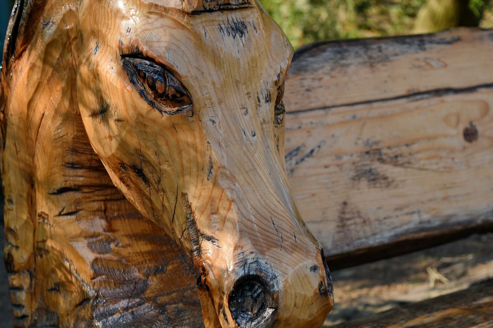 Nikon D5500 sample photo. Carving, sculpture, nature, tree photography
