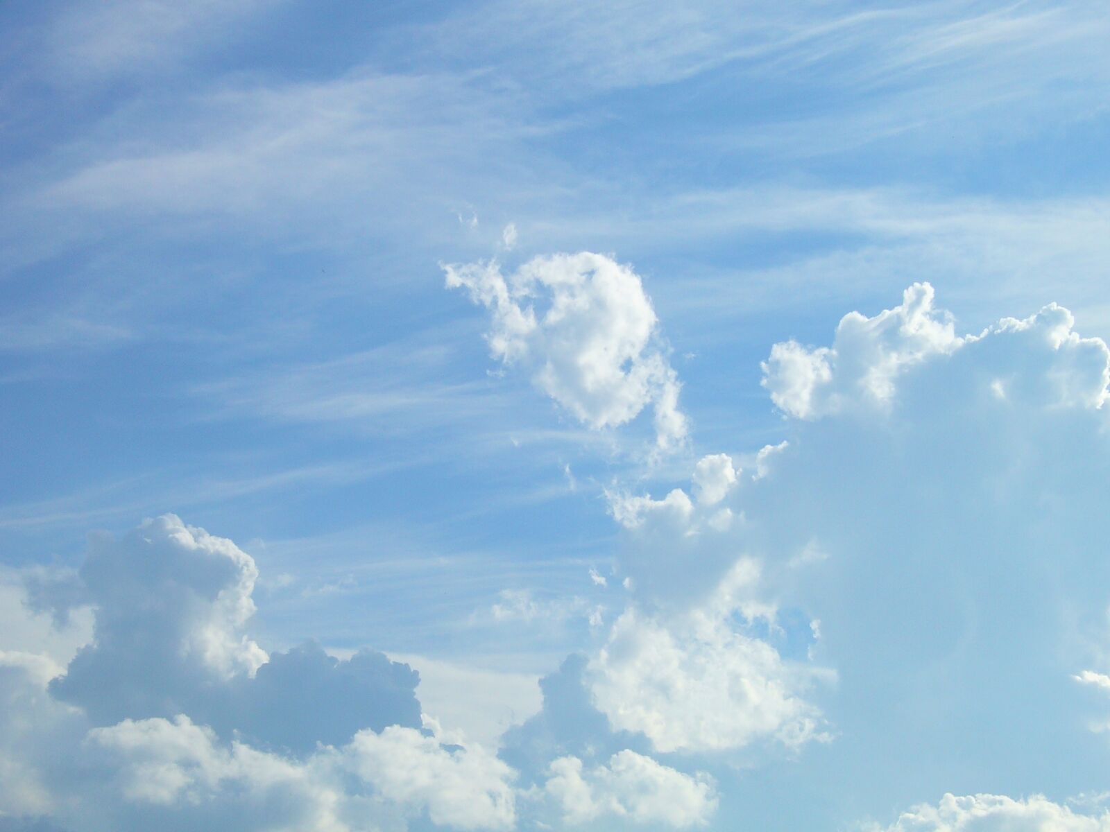 Panasonic DMC-LS1 sample photo. Sky, cloud, blue photography