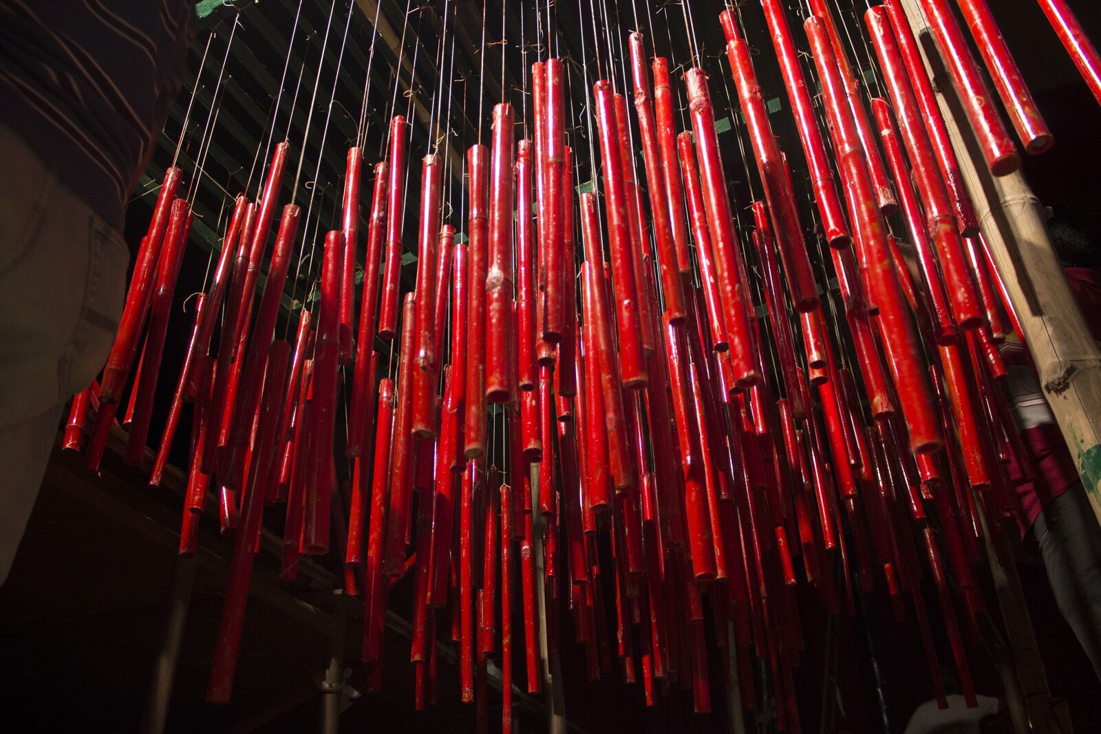 Canon EOS 600D (Rebel EOS T3i / EOS Kiss X5) sample photo. Bamboo, bansh, red photography