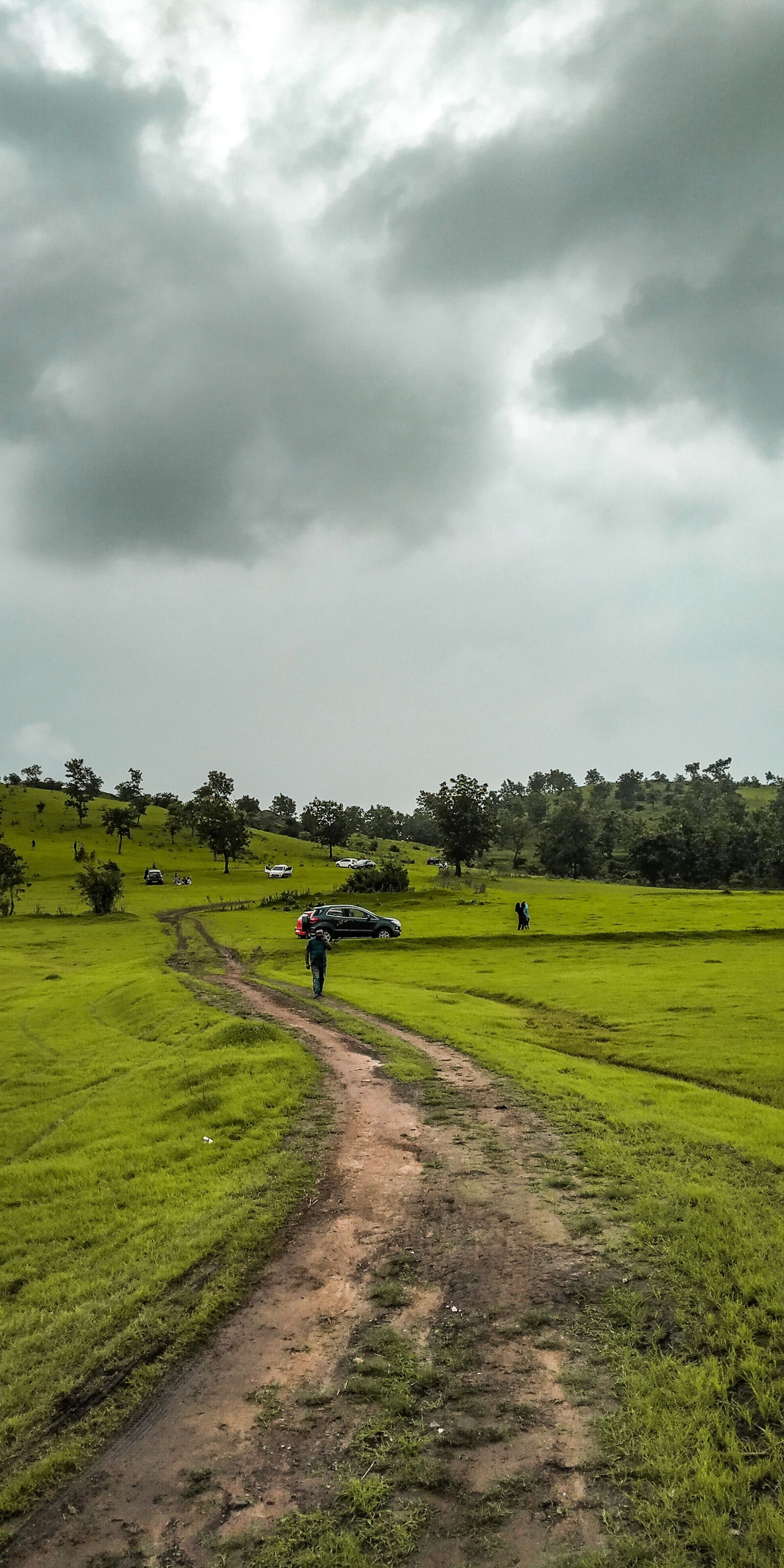 Xiaomi Redmi Note 5 Pro sample photo. Forest, route, landscape photography