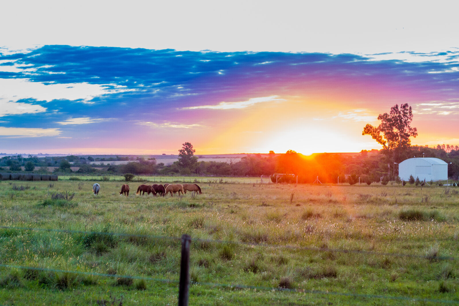 Canon EOS 70D + Canon EF 50mm F1.8 STM sample photo. Argentina, camp, sky, sunset photography