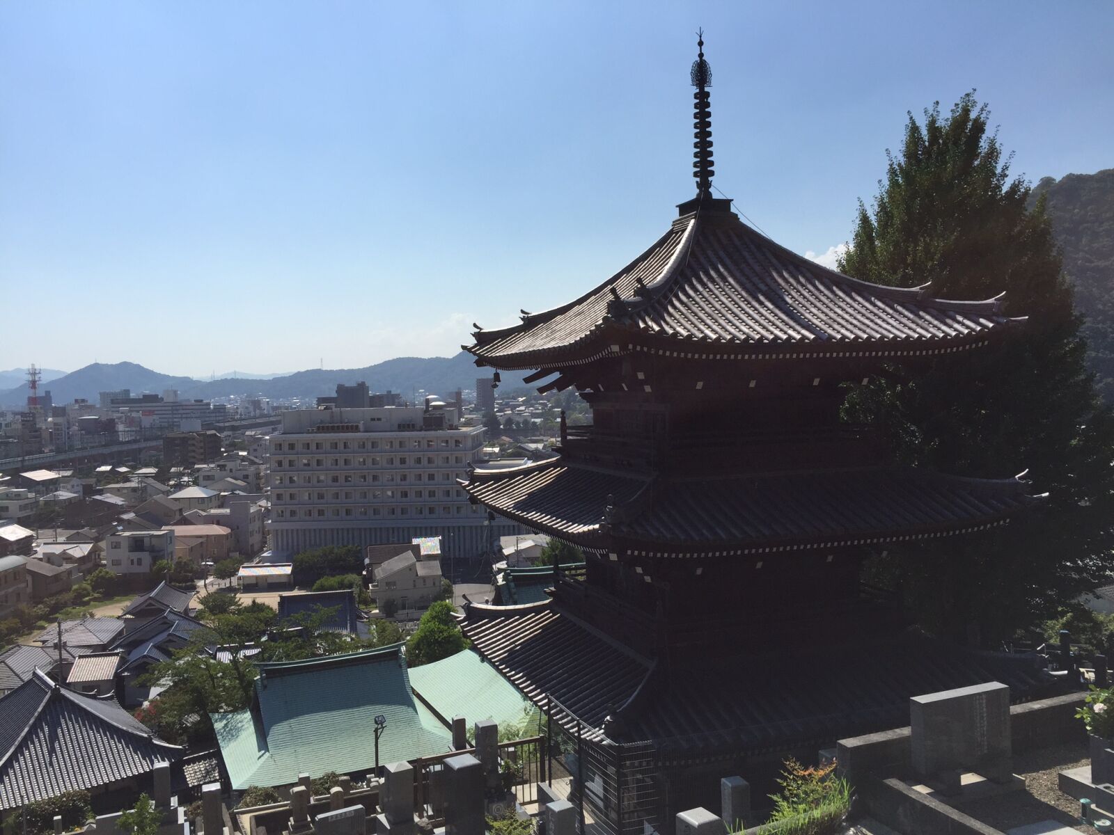 iPhone 6 Plus back camera 4.15mm f/2.2 sample photo