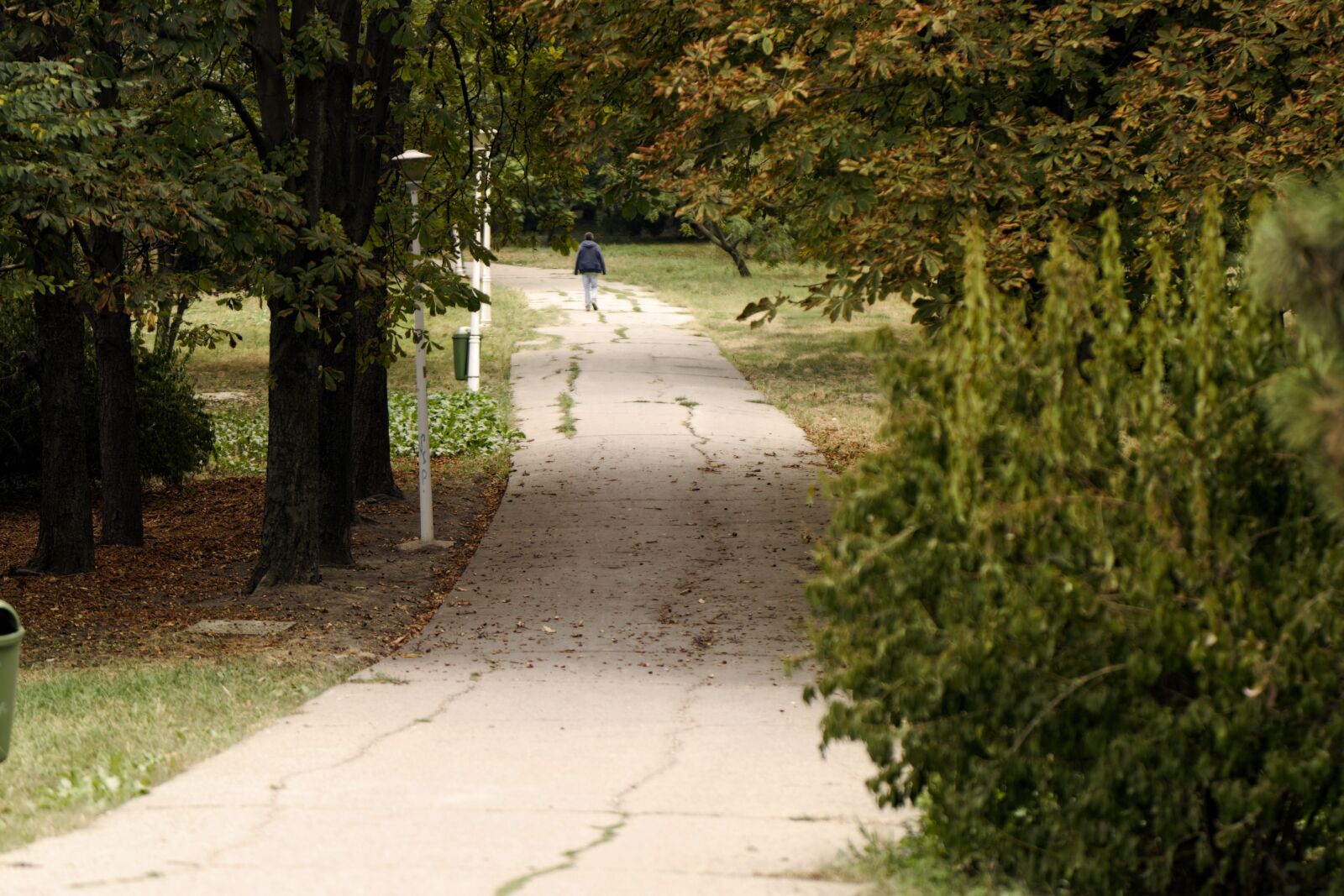 Nikon D5300 sample photo. Landscape, nature, park photography