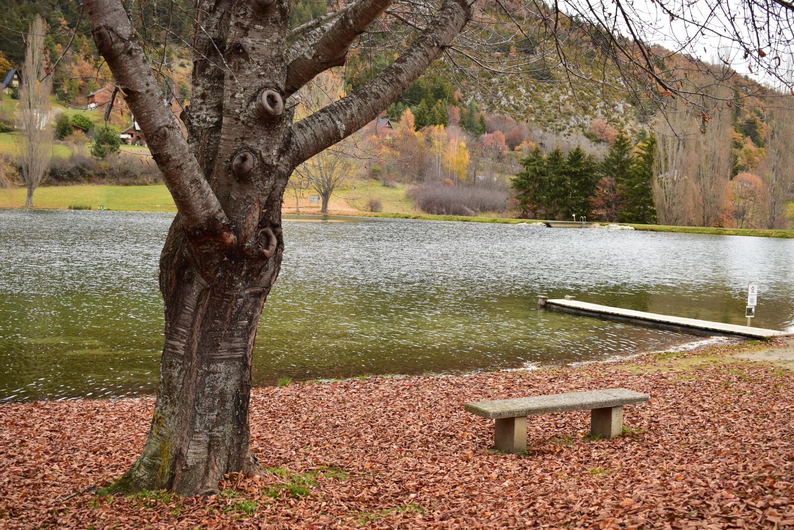 Nikon D5300 sample photo. Bench, lake, tree photography
