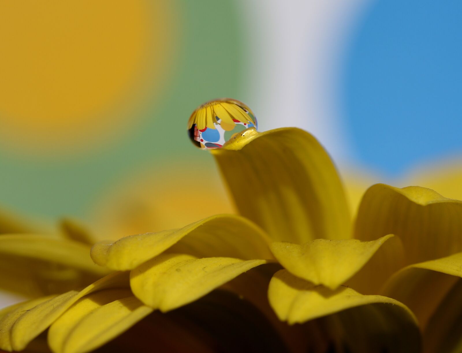 Canon EF-S 60mm F2.8 Macro USM sample photo. Drops, water, macro photography