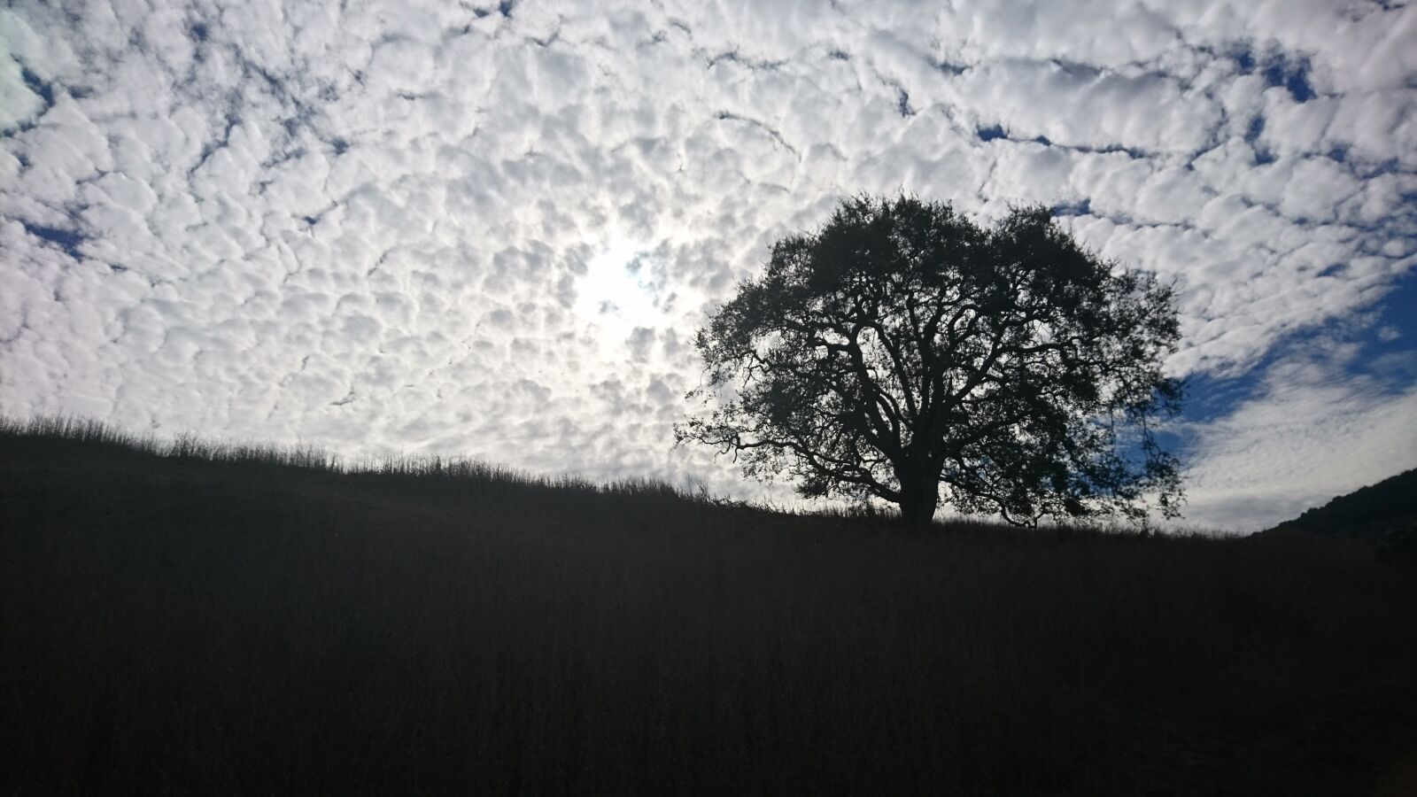 Sony Xperia X sample photo. Cloud, hill, tree photography