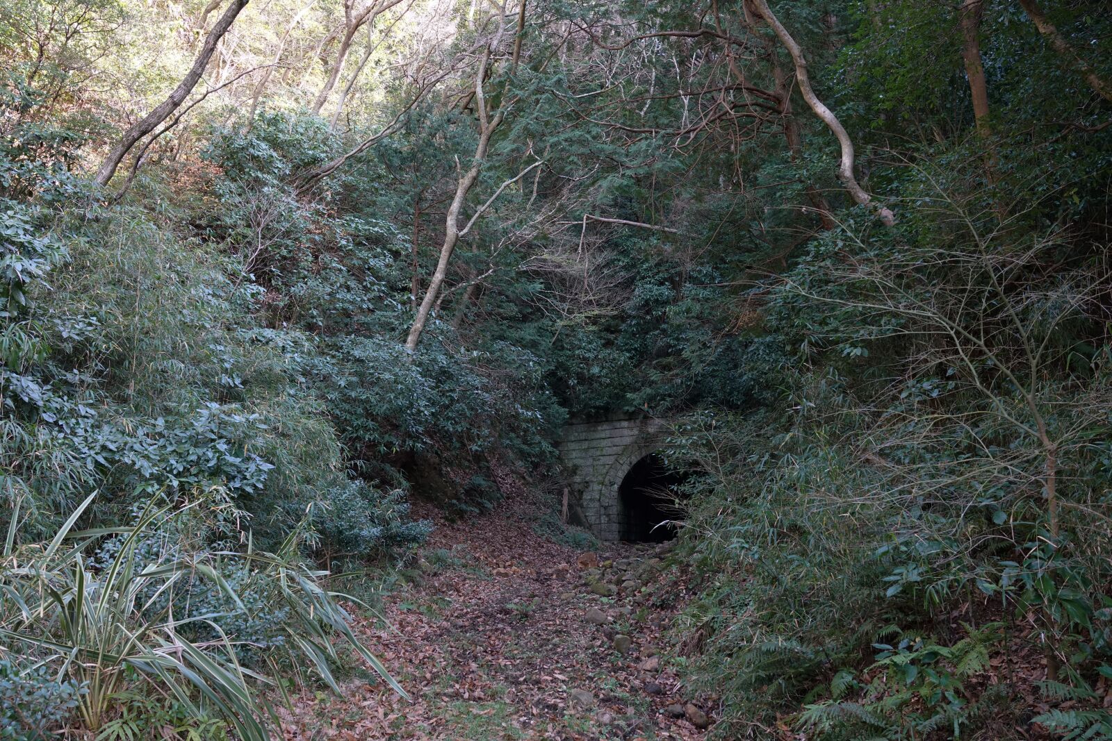 Sony Cyber-shot DSC-RX1R II sample photo. Tunnel, mountain, nature photography