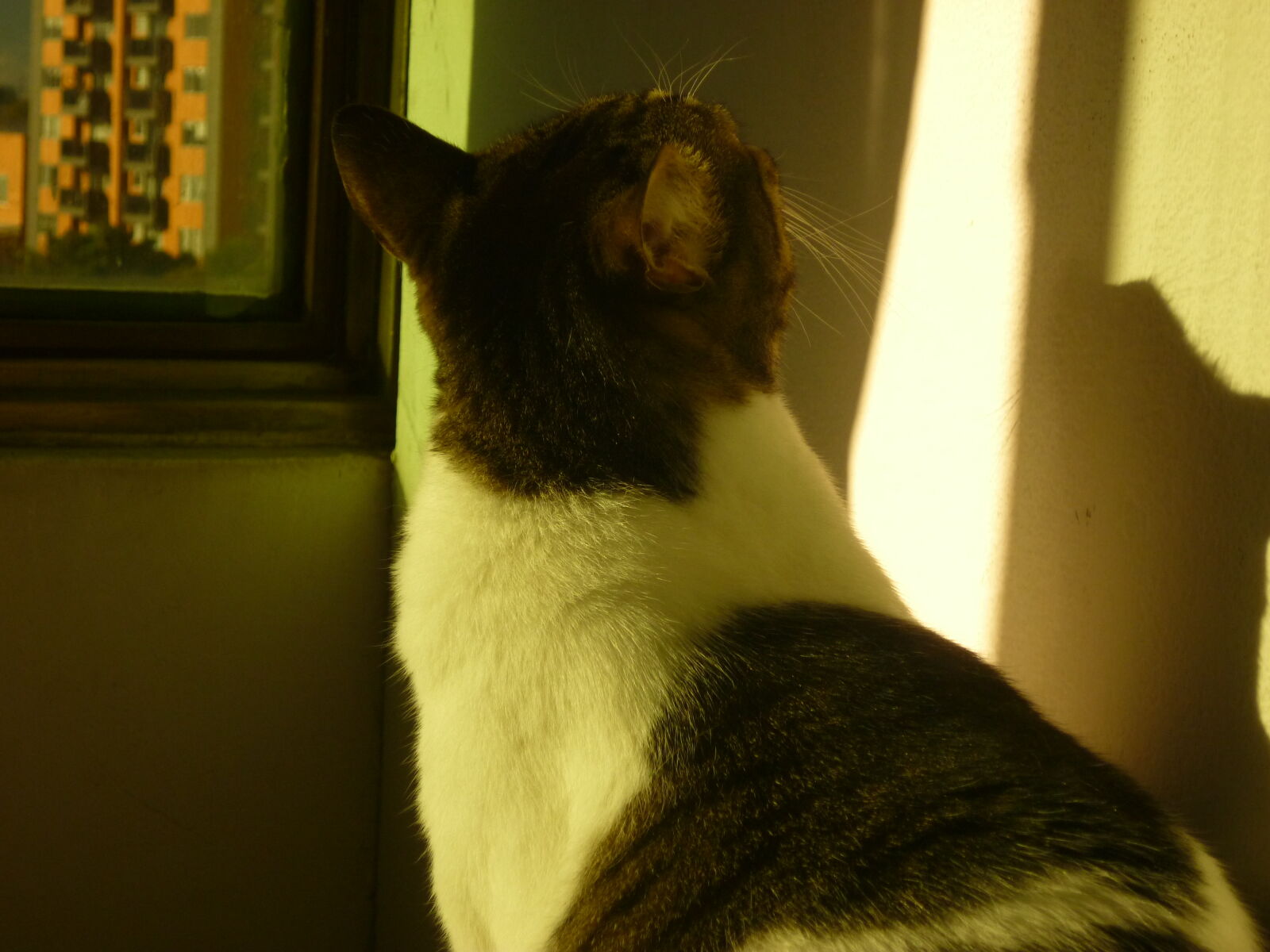 Panasonic DMC-FS12 sample photo
