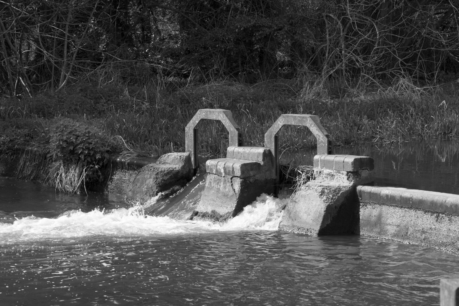 Nikon D5500 sample photo. River chess, watford, cassiobury photography