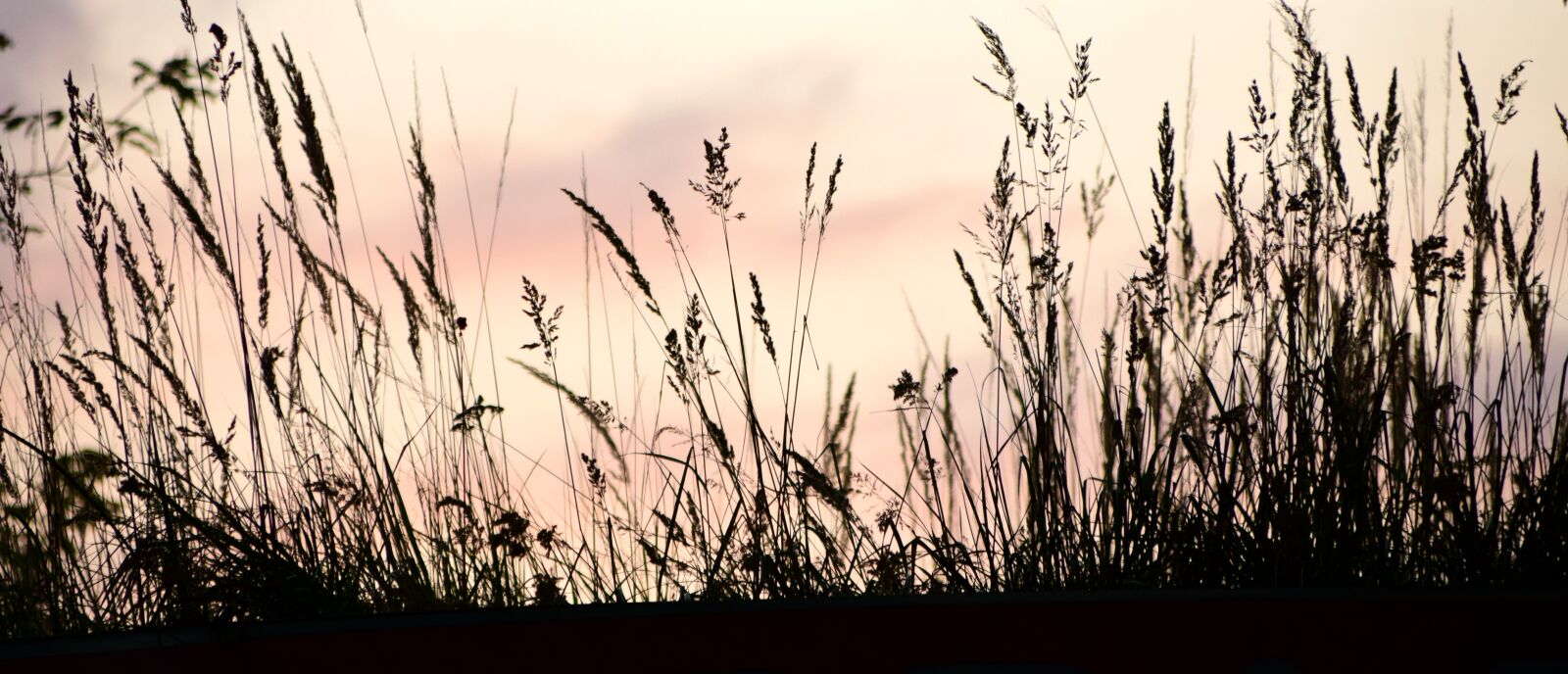 Nikon D3300 sample photo. Sunset, contour, shadow photography