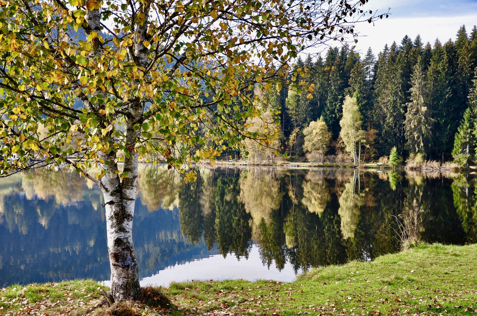 Nikon D90 sample photo. Lake, water, nature photography