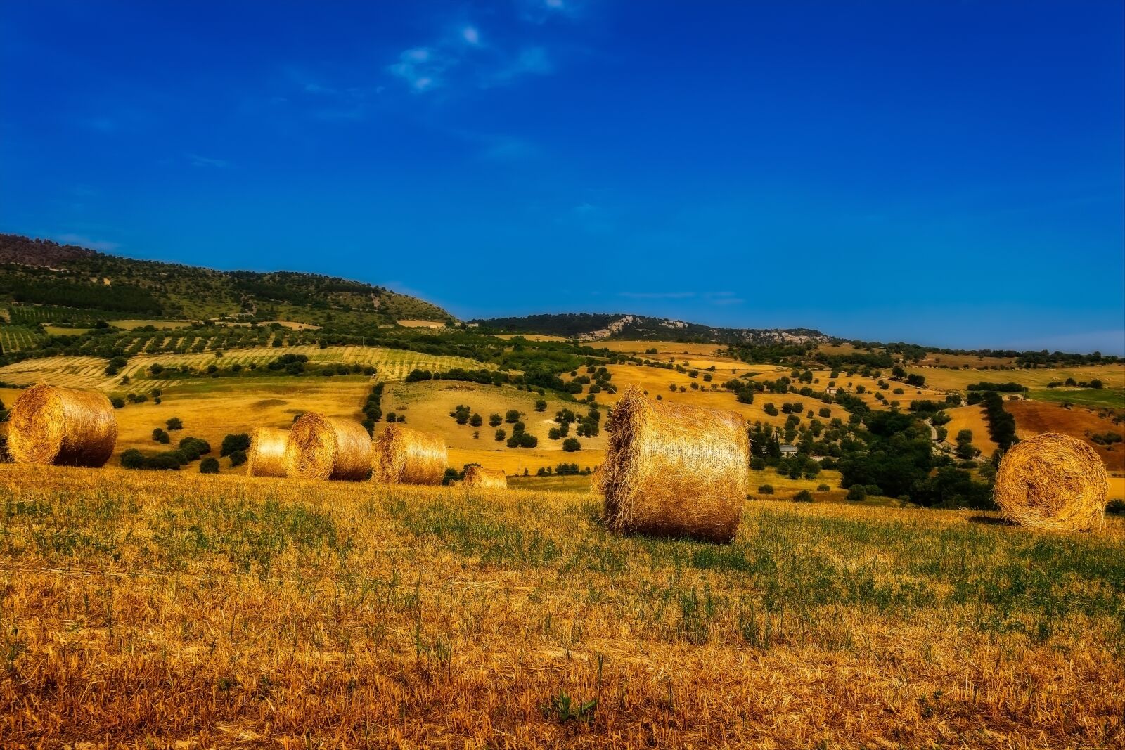 Nikon D3300 sample photo. Summer, field, straw photography