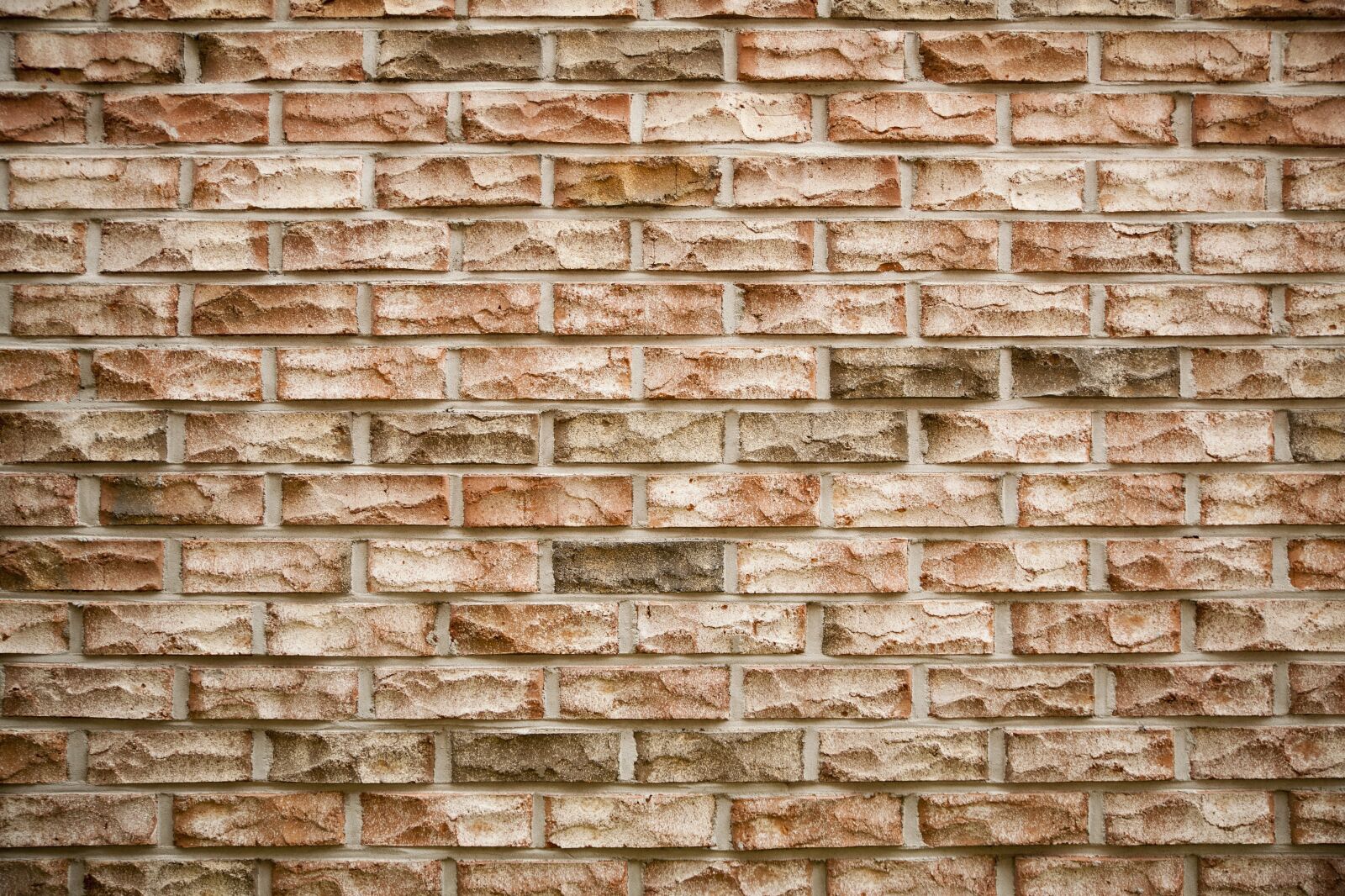 Canon EOS 5D sample photo. Damme, texture, pattern photography