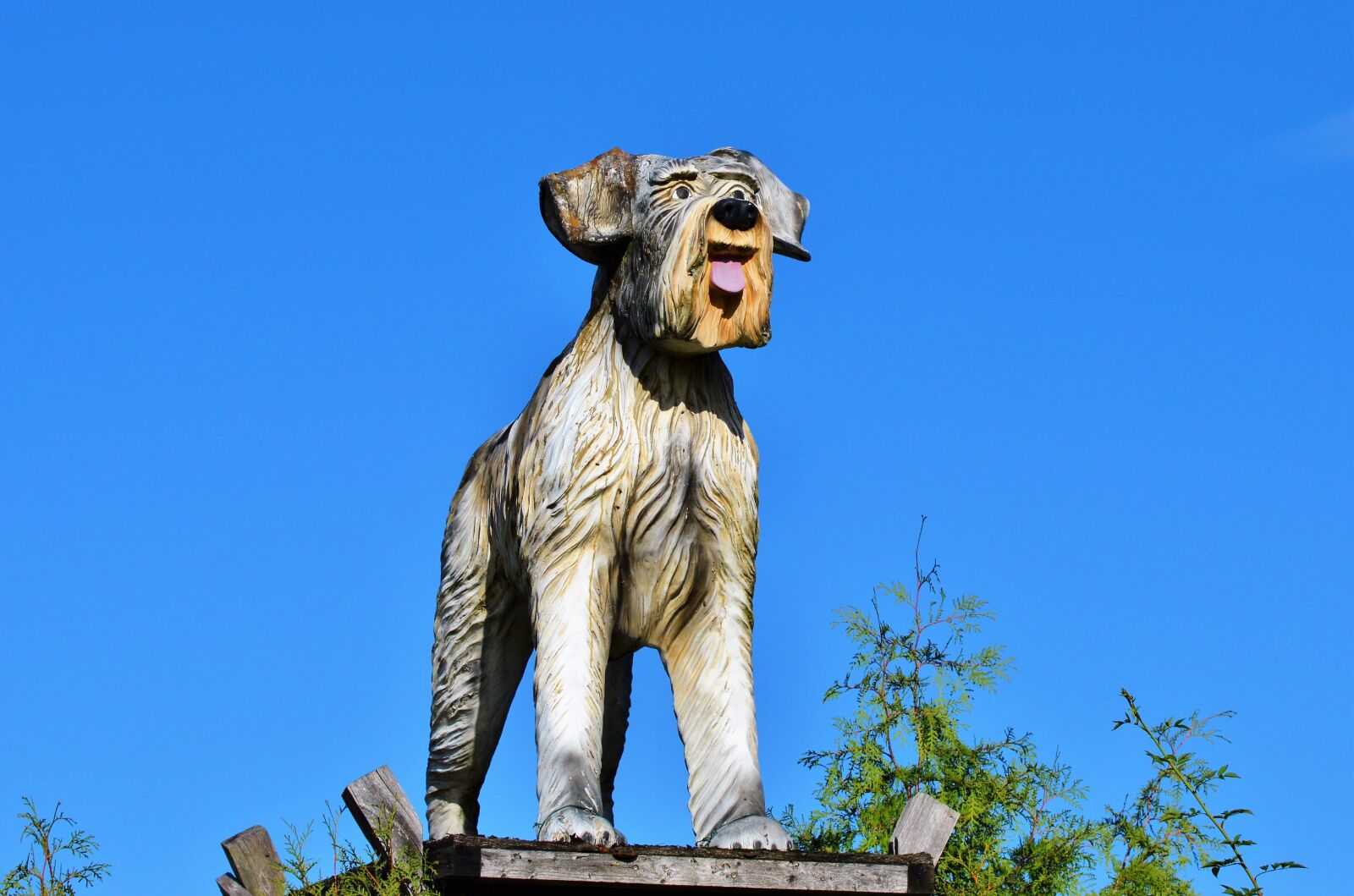 Nikon D3200 sample photo. Wood dog, figure, dog photography