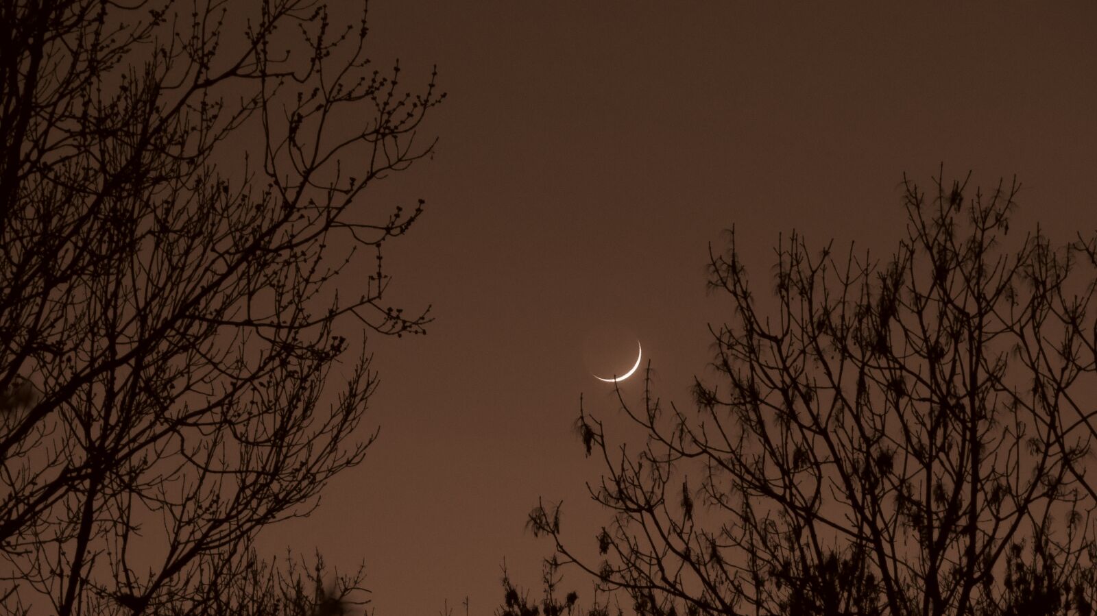 Canon PowerShot SX270 HS sample photo. Moon, sepia, nature photography