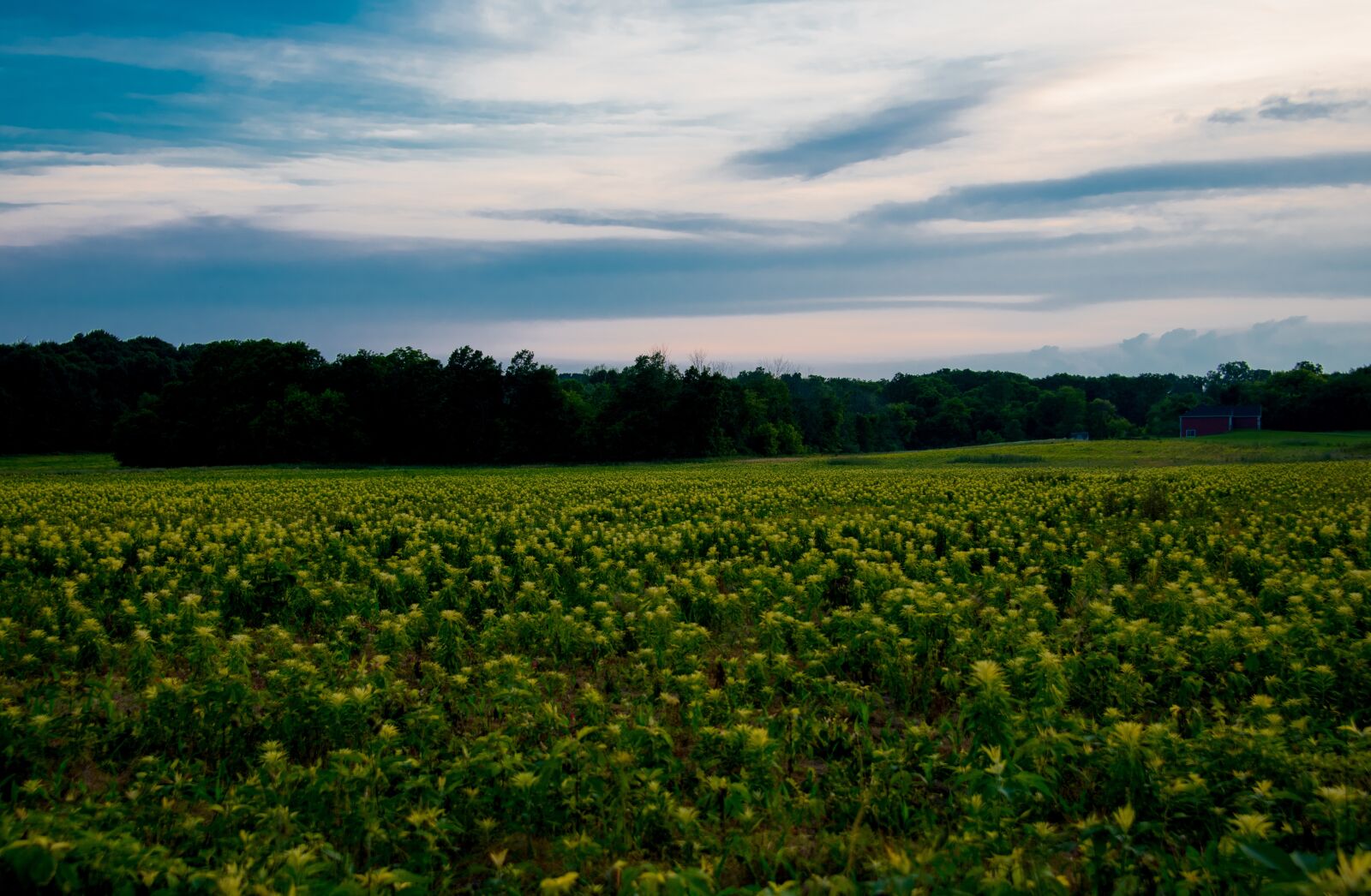 Nikon D850 sample photo. Sky, field, farm photography
