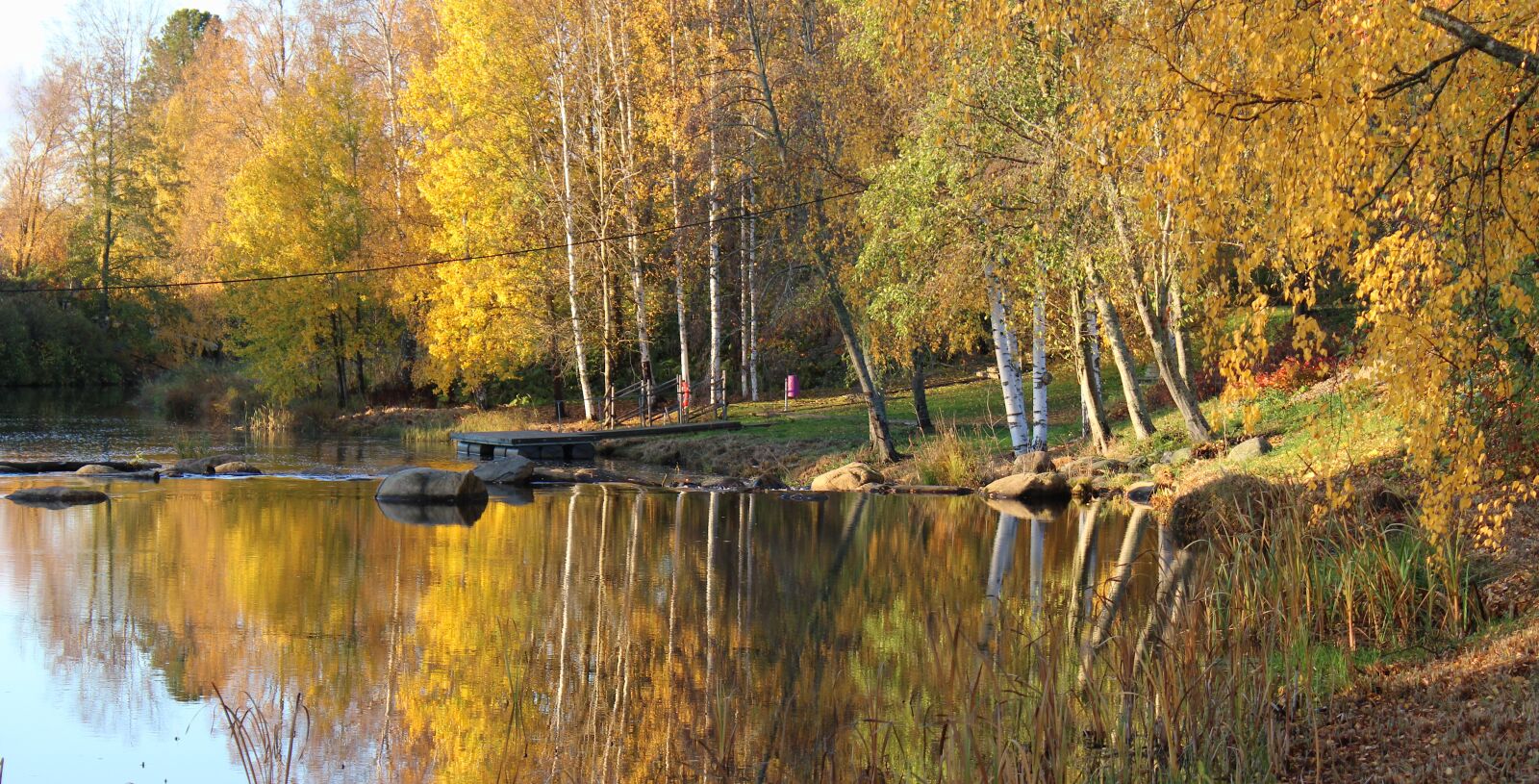 Canon EOS 2000D (EOS Rebel T7 / EOS Kiss X90 / EOS 1500D) sample photo. River, river bank, trees photography