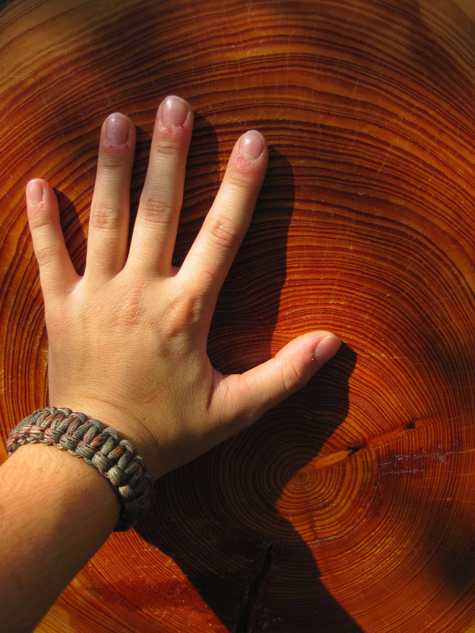 Canon PowerShot D10 sample photo. Wood, hand, grain photography