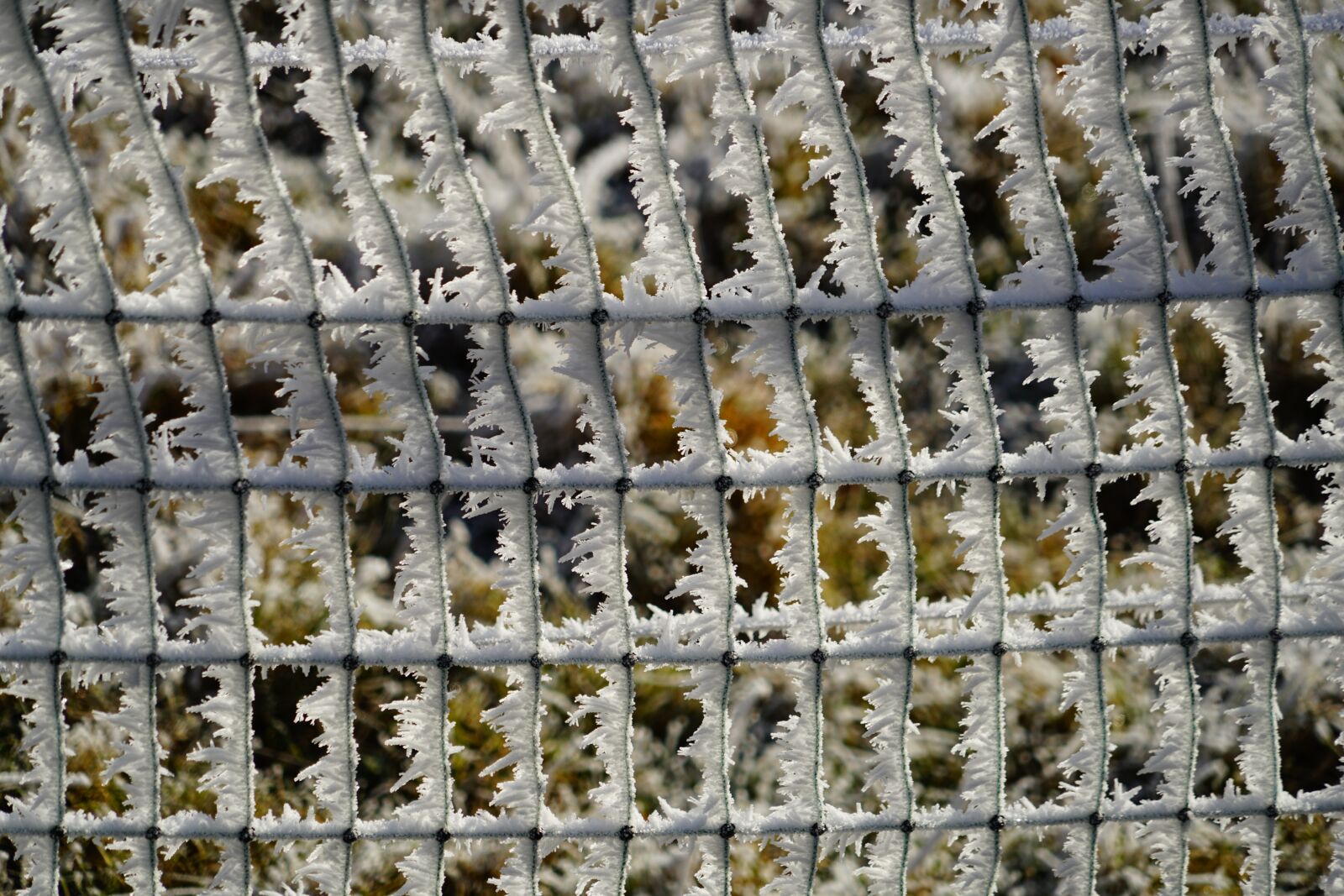 Sony a7R II + Sony FE 24-240mm F3.5-6.3 OSS sample photo. Fence, hoarfrost, snow crystals photography