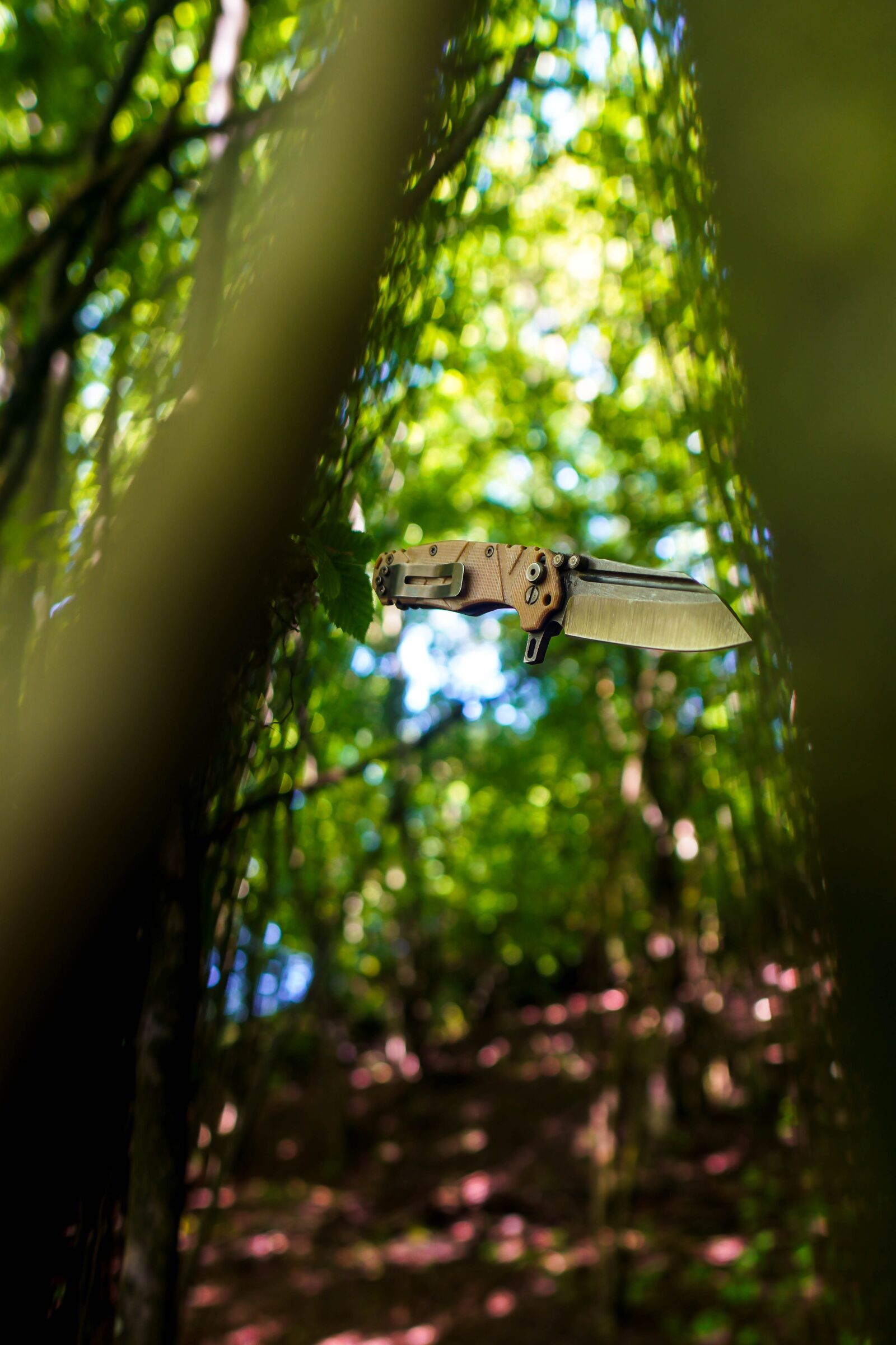 Sony a6400 + Sigma 16mm F1.4 DC DN | C sample photo. Nature, fire, knife photography