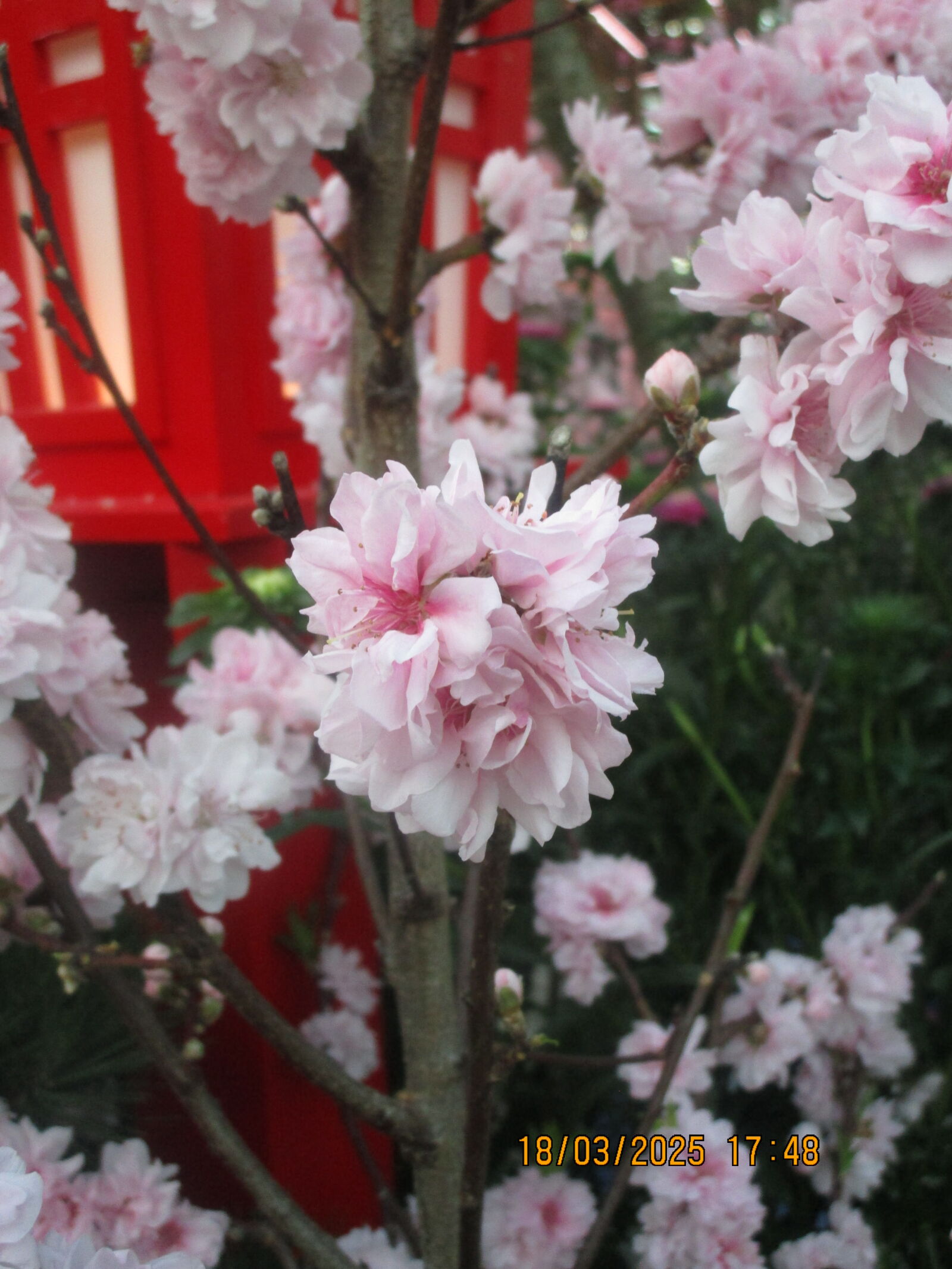 Canon PowerShot ELPH 150 IS (IXUS 155 / IXY 140) sample photo
