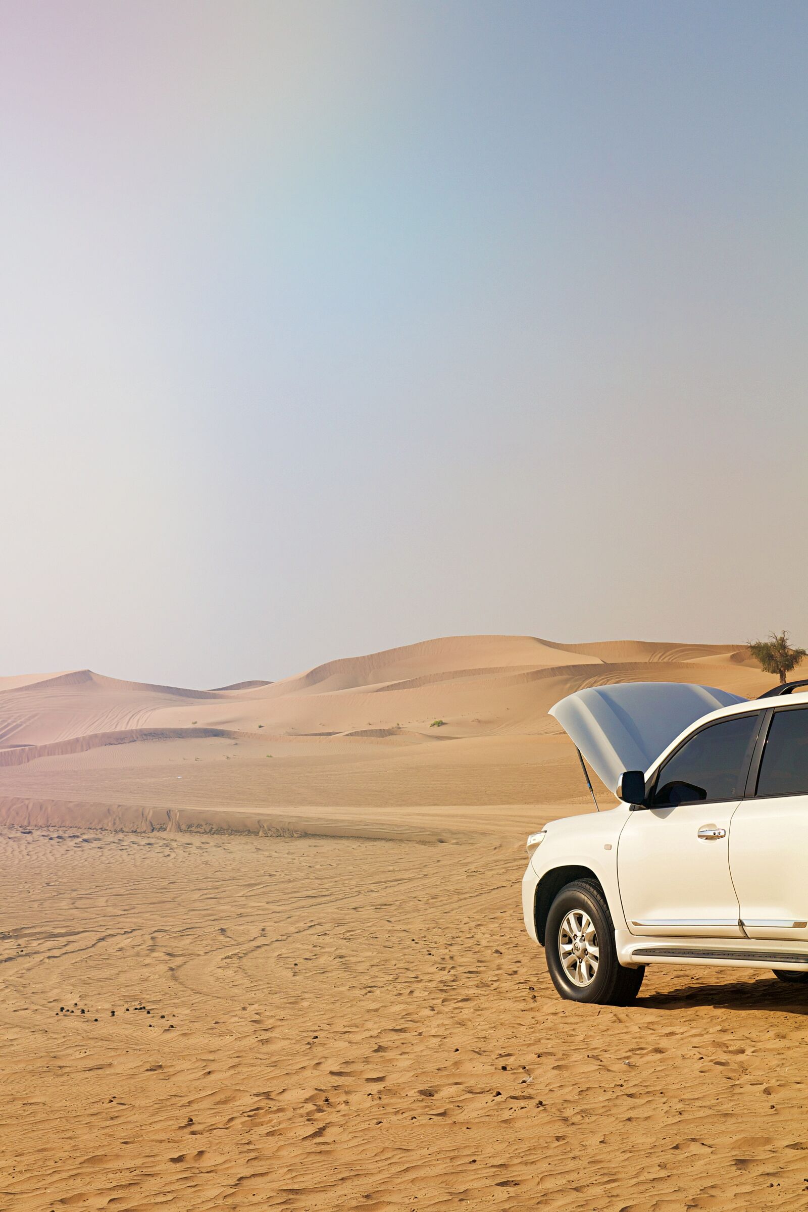 Canon EOS 600D (Rebel EOS T3i / EOS Kiss X5) sample photo. Abu dhabi, emirates, desert photography