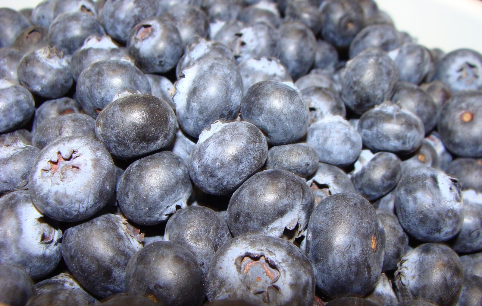 Sony Cyber-shot DSC-H10 sample photo. Blueberries, blue, fruit photography