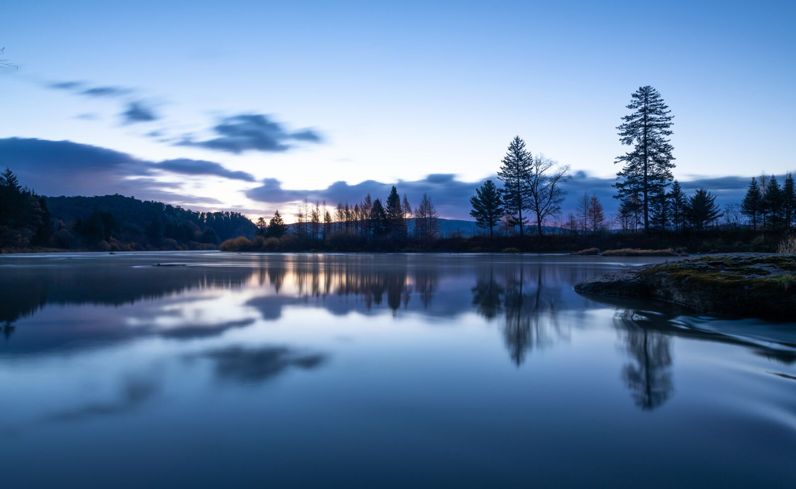 Nikon D850 sample photo. The water, tree, winter photography