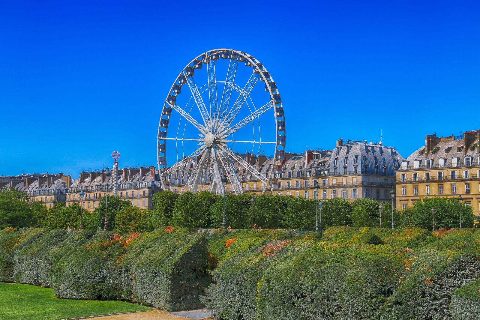 Canon EOS 70D sample photo. Paris, large-wheel, manege photography