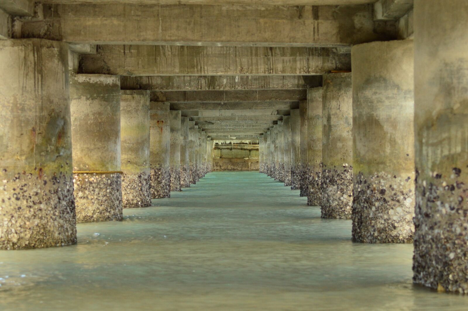 Nikon D3200 sample photo. Under, bridge, water photography