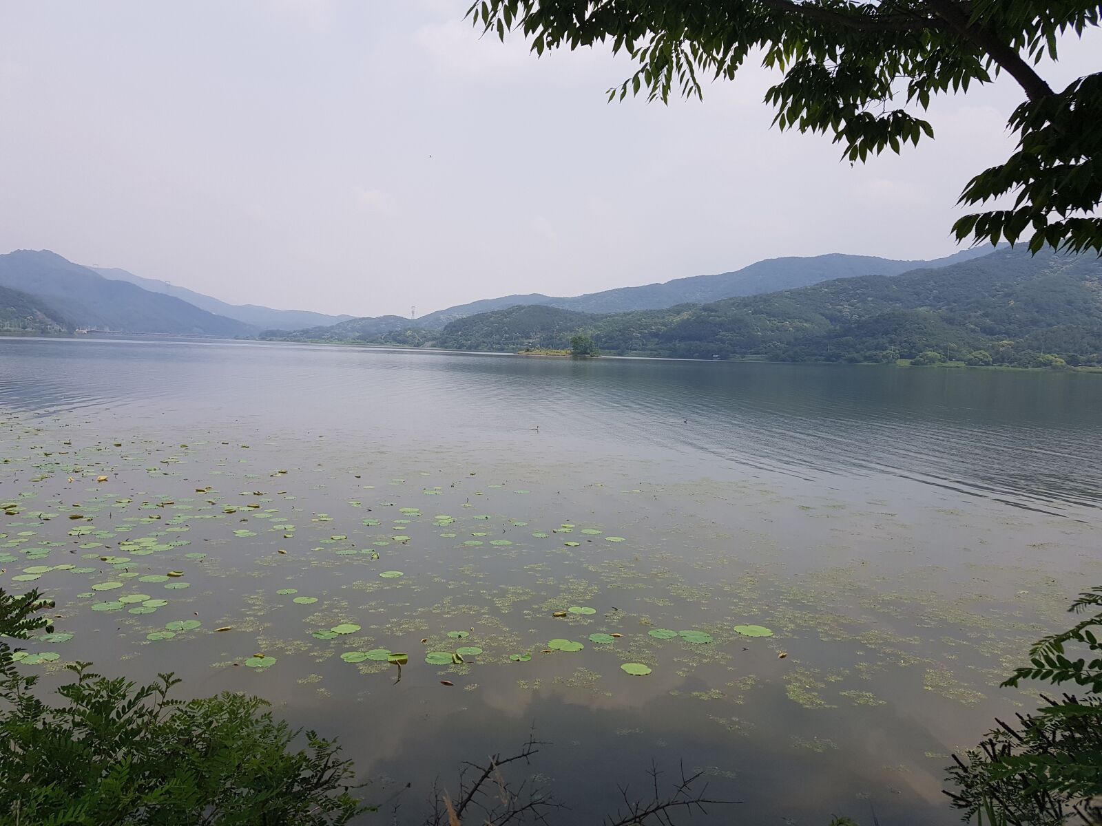 Samsung Galaxy S8 sample photo. Lake, fog, nature photography