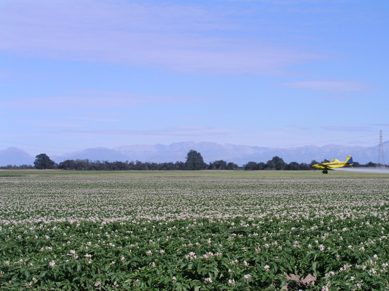 Olympus C5050Z sample photo. Agriculture, spray, plane photography