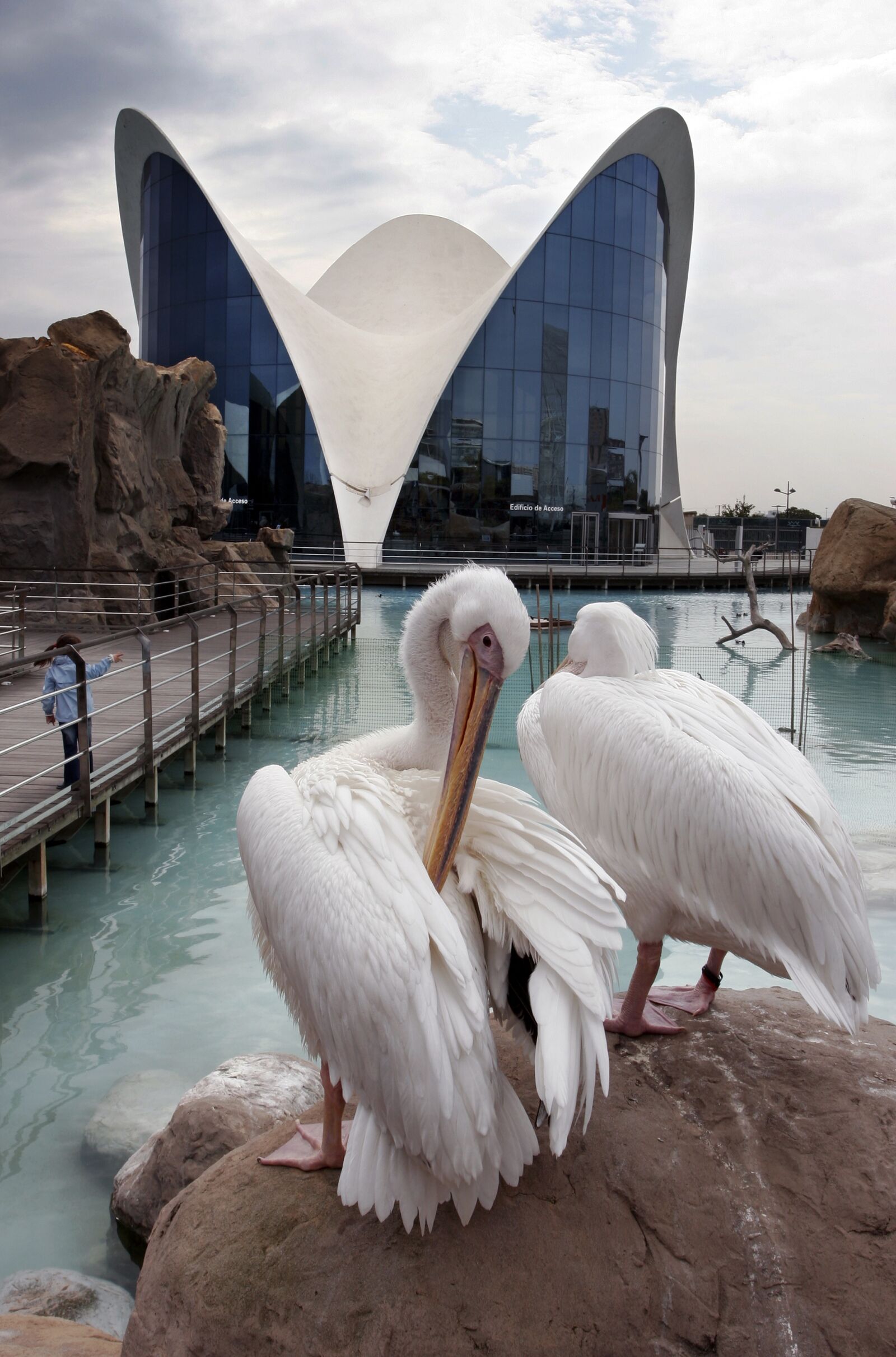 Canon EOS 20D sample photo. Architecture, valencia, calatrava photography