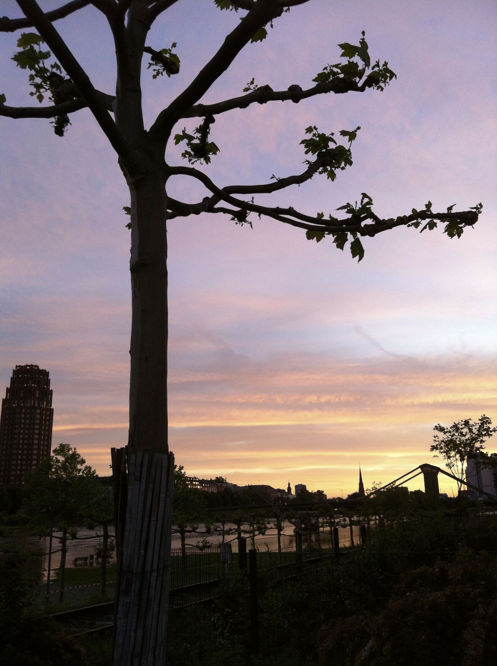 Apple iPhone 4 sample photo. Frankfurt, sunset, sycamore photography